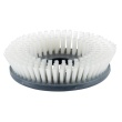 Brosse &agrave;&nbsp;r&eacute;curer Supernylon Duomatic C50 E, EM, B, BM, BA, BMA et Duomatic Esprit photo du produit
