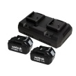 Set 2x batterie 18V/5,0Ah et 1x chargeur double Portavac BeFree photo du produit