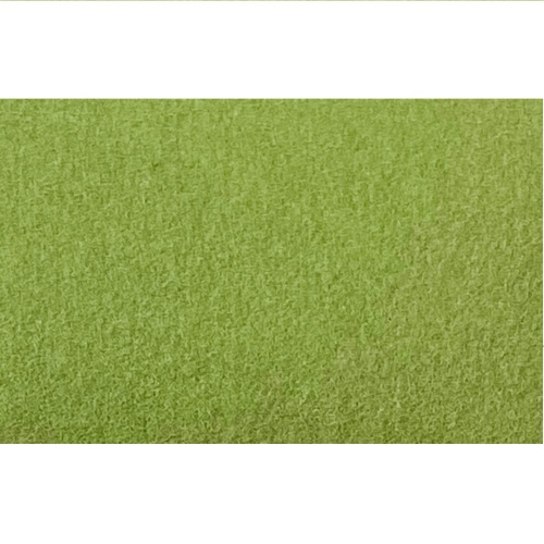 Excentr EDS Pad Green 3000 grit (55-35) product foto Front View L