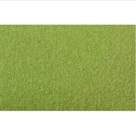 Excentr EDS Pad Green 3000 grit (55-35) product foto