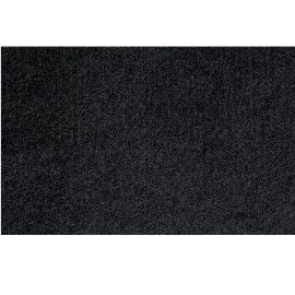 Excentr EDS Pad Black 100 grit product foto