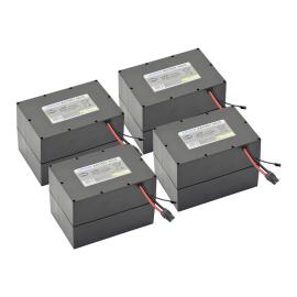 Litihum-ion batterij set 25.6V/197.6Ah Drivematic Delight product foto