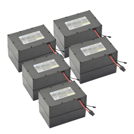 Litihum-ion batterij set 25.6V/247.0Ah Drivematic Delarge product foto
