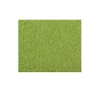 Excentr EDS Pad Green 3000 grit (30-20) product foto